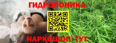 spice Можга