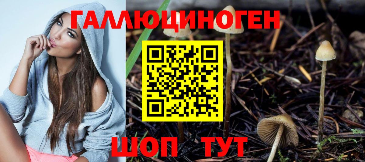 Галлюциногенные грибы MAGIC MUSHROOMS  Псилоцибиновые грибы ЛСД  Будённовск  Вход с VPN 