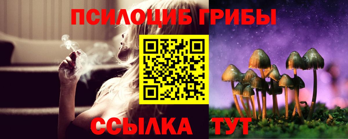 Псилоцибиновые грибы мицелий Будённовск